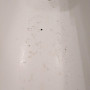 pxl_20231109_150004082.jpg