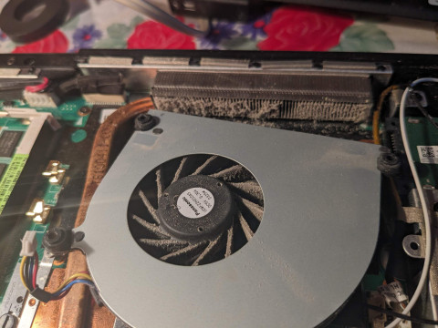 pxl_20231104_125137726.jpg